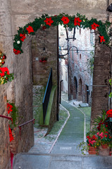 Fototapeta na wymiar Todi in Umbria, Italy. View of the ancient village full of medieval buildings. It rises on the hills since the Etruscan times and overlooks the valley of the Tiber river.