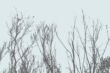 Silhouettes of Trees on subtle background. Tree Pattern