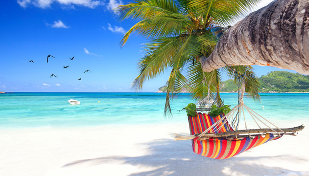 Odpręż się i zrelaksuj - hamak na tropikalnej plaży do pokoju
