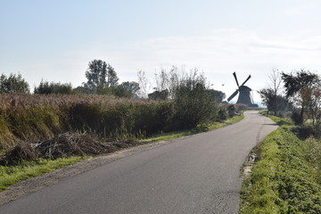 Road to dutch wind mill in dutch polder near amsterdam 