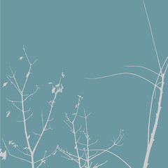 Silhouettes of Trees on subtle background. Tree Pattern