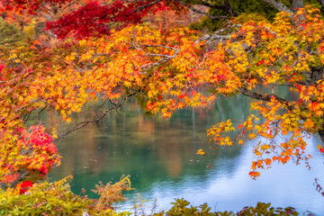 Goshikinuma Ponds, 5 colors ponds in Fukushima, Japan - 299337303