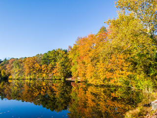 Stock photo of autumn rural landscape