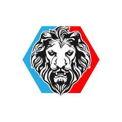 Wild Lion Vector Icon Logo Template