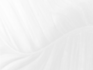 Obraz premium White background abstract with soft waves texture. smooth lines white and grey elegant