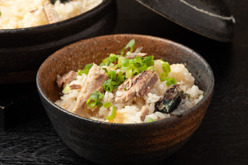 秋刀魚ご飯