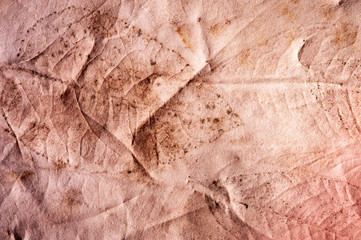 Real texture of the prints of plant leaves on crumpled paper. Not an art. Simple background.