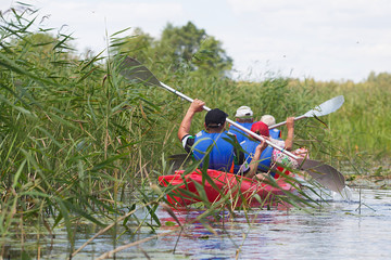 Group of people in kayaks