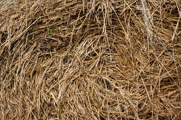 The texture of dry straw. A close-up shot of a twisted haystack.