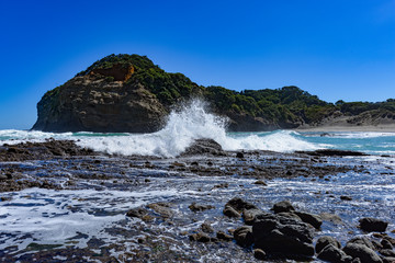 New Zealand travel, Auckland, Wellington^ fiords and islands