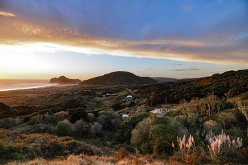 New Zealand travel, Auckland, Wellington^ fiords and islands