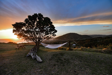 New Zealand travel, Auckland, Wellington^ fiords and islands