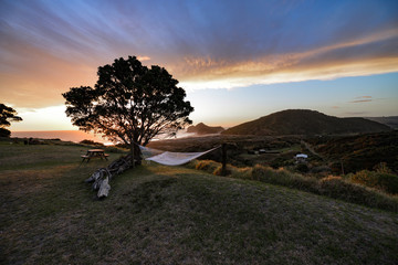 New Zealand travel, Auckland, Wellington^ fiords and islands