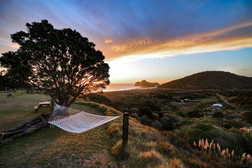 New Zealand travel, Auckland, Wellington^ fiords and islands