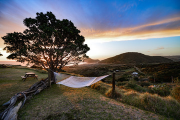 New Zealand travel, Auckland, Wellington^ fiords and islands