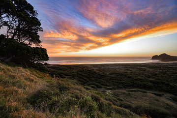 New Zealand travel, Auckland, Wellington^ fiords and islands