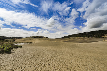 New Zealand travel, Auckland, Wellington^ fiords and islands