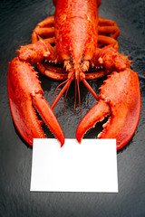 Lobster claw holding a blank card sign