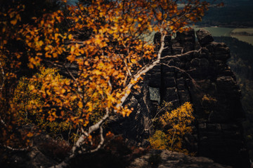 Herbstliche Landschaft in der Sächsischen Schweiz