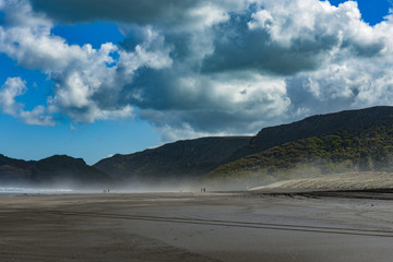 New Zealand travel, Auckland, Wellington^ fiords and islands