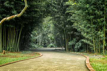 Sendero