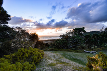 New Zealand travel, Auckland, Wellington^ fiords and islands