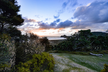 New Zealand travel, Auckland, Wellington^ fiords and islands