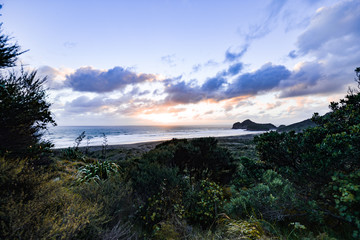 New Zealand travel, Auckland, Wellington^ fiords and islands