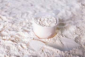 Whey protein scoop. Sports nutrition.