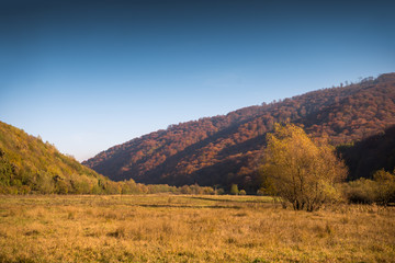 Autumn mountain scenery in sunny day