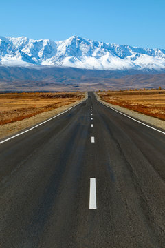 Russia. South Of Western Siberia. Mountain Altai, Chuysky trakt in the area of the Kurai steppe