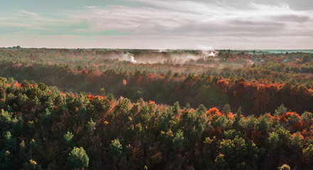 Fall colors in the forest with sky and smoke