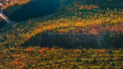 Autumn landscape. Aerial view. Autumn forest on the hill