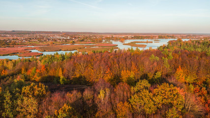 Aerial top view. Autumn landscape. Wild nature