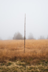 Fototapeta na wymiar Meadow and field with wooden stick - heavy fog in the background. Vector illustration
