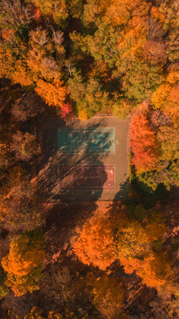 top view of a tennis court in autumn forest