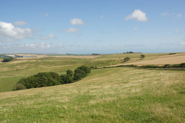 Fototapeta na wymiar SouthDowns Countryside at Steyning, West Sussex, England