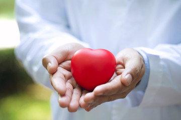 close up doctor holding and caring Red Heart in Two Hands.Concept for topics: health, support, international or national cardiology day.