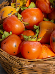 Fototapeta na wymiar Juicy fruits of ripe orange persimmon lie in a wicker basket in the sun in a village in Greece