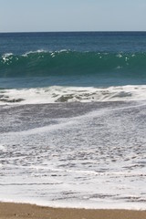 Rouleaux du pacifique