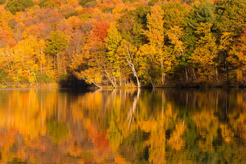   Mont-Saint-Bruno national park in autumn