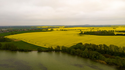 Yellow and green rapeseed fields in sping, splendid yellow color, aerial view, Germany oilseed rape agricultural fields. Canola