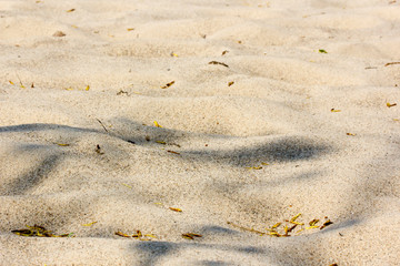 Sand