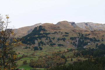 Wandern am Wetterhorn