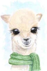 Foto auf Alu-Dibond Watercolor alpaca with green scarf © ireewka