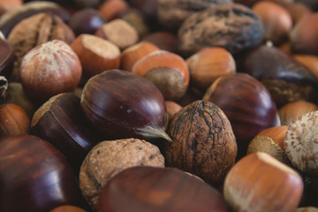 Mix of chestnuts, walnuts and hazelnuts close up