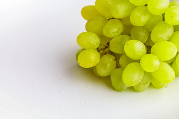 brush of ripe Kishmish grapes with drops of water on a white background close-up