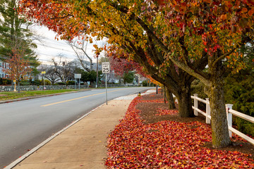 New England Small Town in the Autumn Foliage