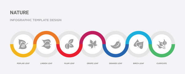 7 filled icon set with colorful infographic template included cuspicate, birch leaf, orange leaf, grape leaf, plum linden poplar icons