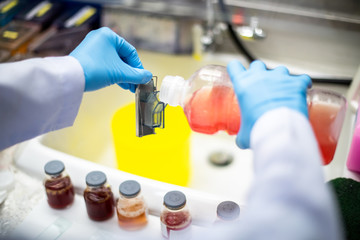 Scientists are preparing specimens for cytology to check for abnormalities in cells.